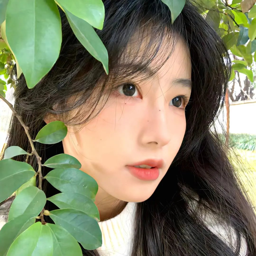 麦里斯德与黑宝马